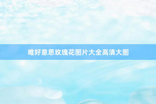 唯好意思玫瑰花图片大全高清大图